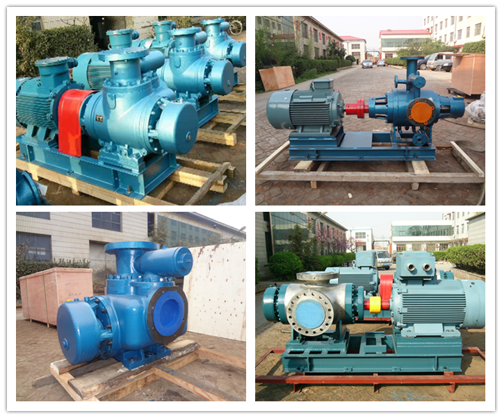 W雙螺桿泵產(chǎn)品實物