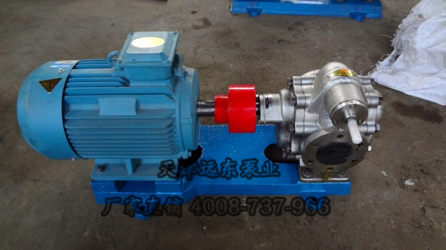 不銹鋼齒輪泵 不銹鋼齒輪泵